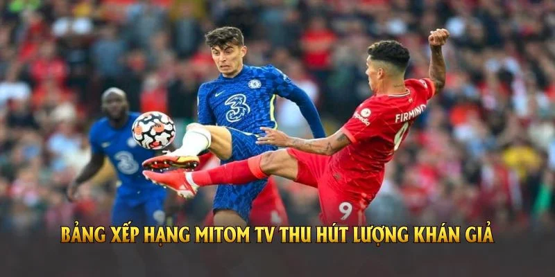 Bảng xếp hạng Mitom TV thu hút lượng khán giả