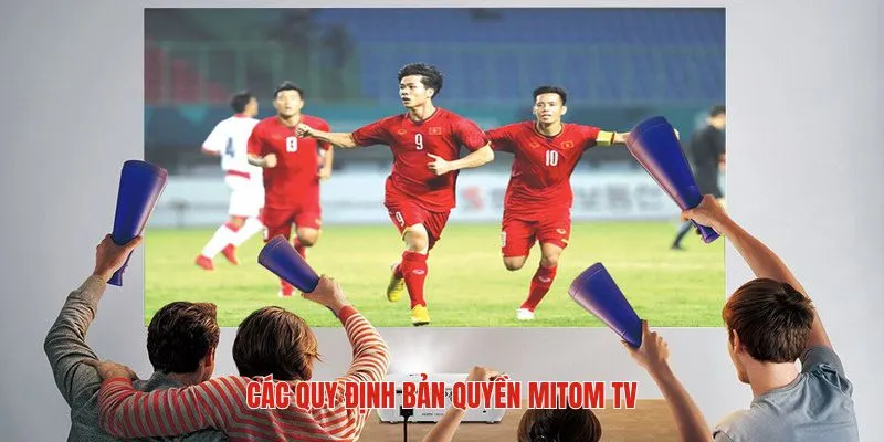 Các quy định bản quyền mà mitom tv đề ra