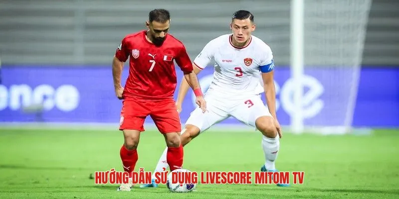 Cách trải nghiệm dịch vụ tại livescore Mitom tv
