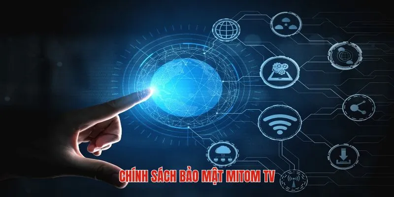 Chính sách bảo mật mitom tv