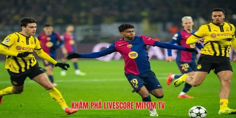 Khái quát đôi nét về ứng dụng livescore Mitom tv 