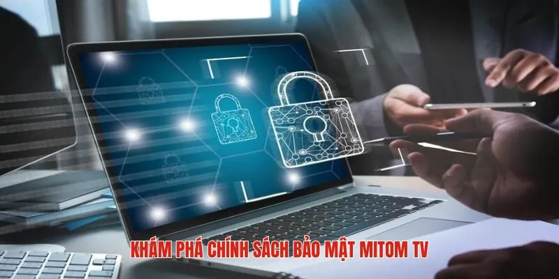 Khái quát sơ lược về chính sách bảo mật mitom tv