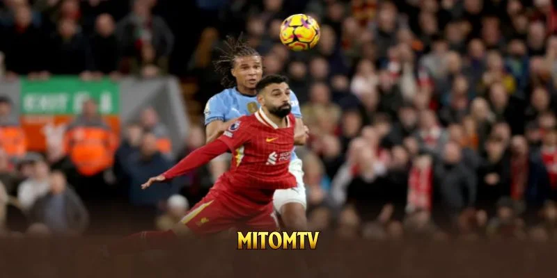 Câu hỏi thường gặp tại mitomtv