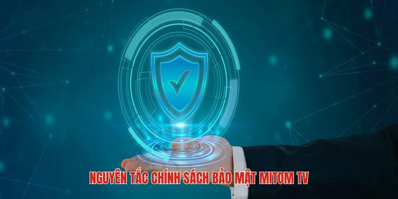 Nguyên tắc mà chính sách bảo mật mitom tv đề ra