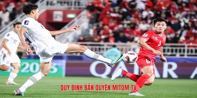 Quy định bản quyền mitom tv