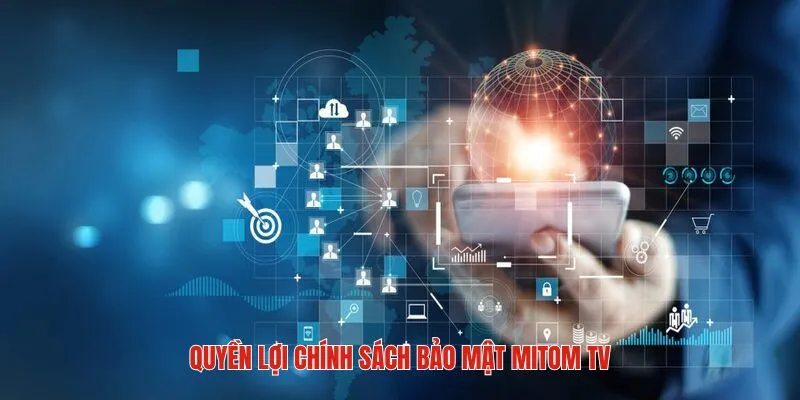 Quyền lợi của khán giả tại Mitom tv