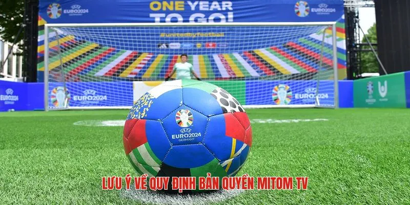 Vài điểm cần chú ý về quy định bản quyền mitom tv